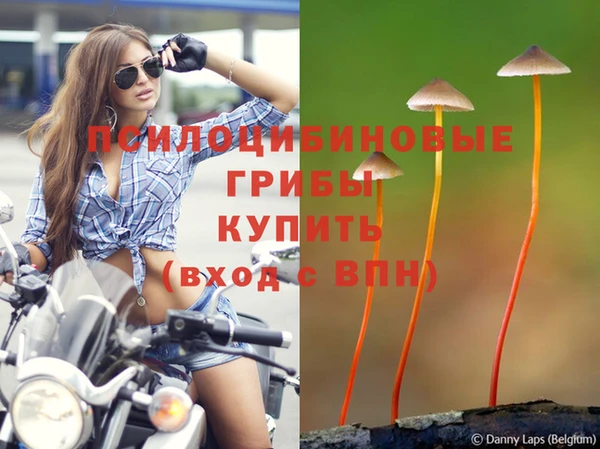 PSILOCYBIN Волоколамск