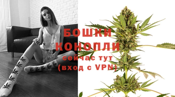 PSILOCYBIN Волоколамск