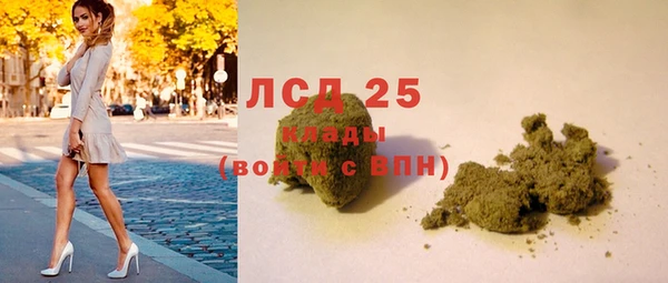 сатива Волосово