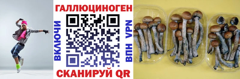 Купить где  Новоалександровск  Псилоцибиновые грибы MAGIC MUSHROOMS 