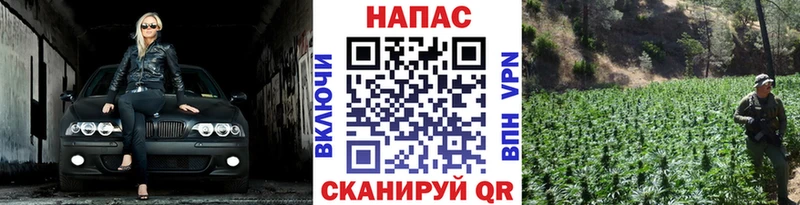 Шишки марихуана Amnesia  Купить где  Новоалександровск 
